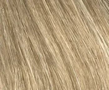 Mocha Frost (Highlighted)