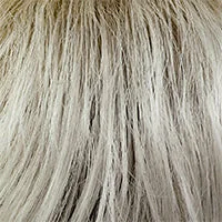 1001/1B+14 (Platinum Blond Black Rooted)